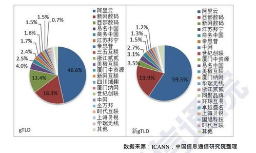 互聯網域名產業報告2020 新網躋身全球gTLD市場前十
